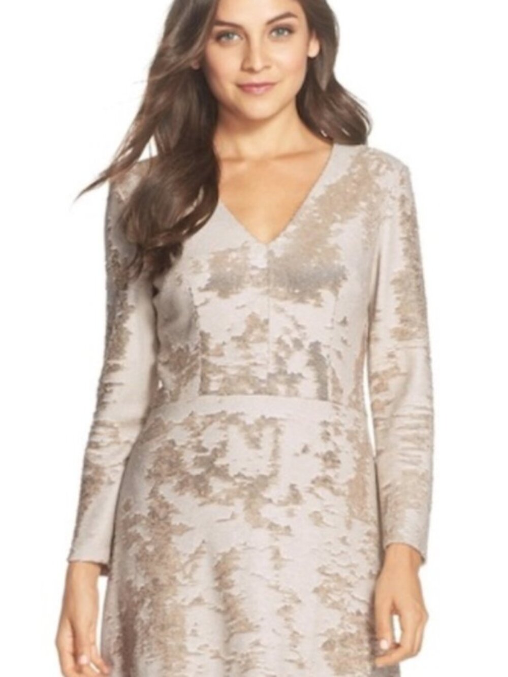 Sequin Fit and Flare Dress
